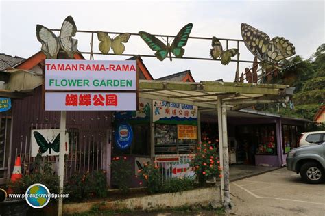 571 likes · 10 talking about this. Butterfly Garden entrance | Butterfly garden, Cameron ...