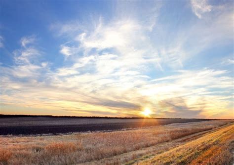 Citizens have reported conflicting guidance from various immigration offices and officers. Immigration a key element of Manitoba's 2018-2024 labour ...