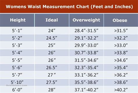 Waist Measurement Chart Cm