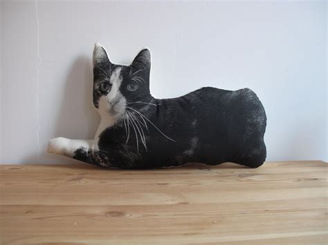 Get a custom pillow that looks like your bff here. Custom pet pillows by Broderpress | Custom pet pillow ...