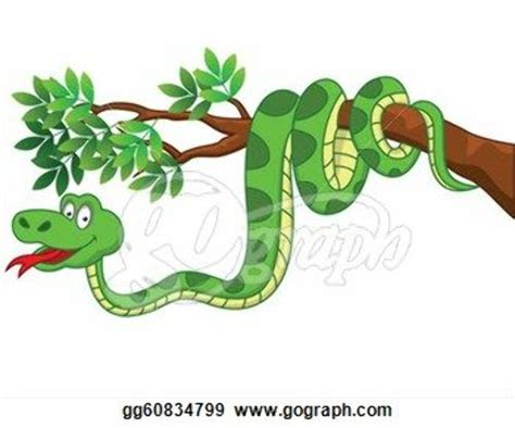 Download High Quality Snake Clipart Jungle Transparent Png Images Art