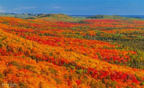 Leaf Peepin Alert Fall Colors On The North Shore Are Poppin