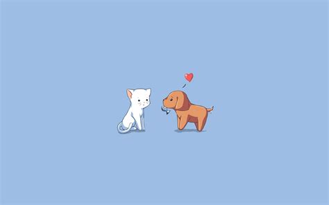 Dog Cat Kitten Wallpaper Hd Vector 4k Wallpapers Images And