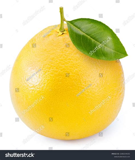 Fresh Yellow Pomelo Fruit Isolated On Stock Photo 2282234101 Shutterstock