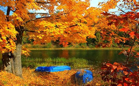 3840x2160px Free Download Hd Wallpaper Lake Boat Trees Fall