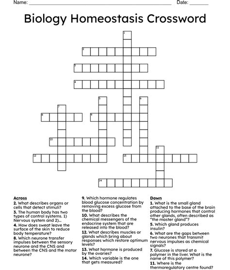 Biology Homeostasis Crossword Wordmint
