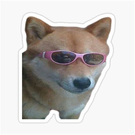 Best Decal Of Doge Roblox