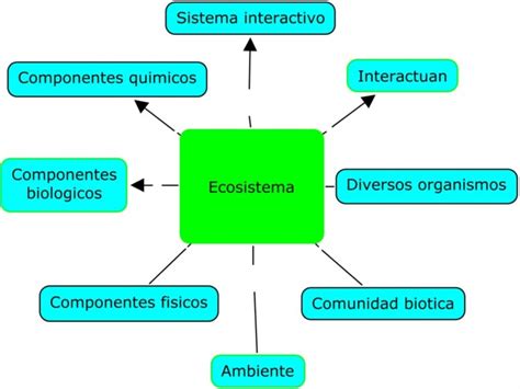 Ecología Cuadros Sinópticos E Imágenes Cuadro Comparativo