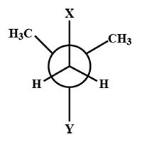 In The Newman Projection For 2 2 Dimethylbutane X And Y Can