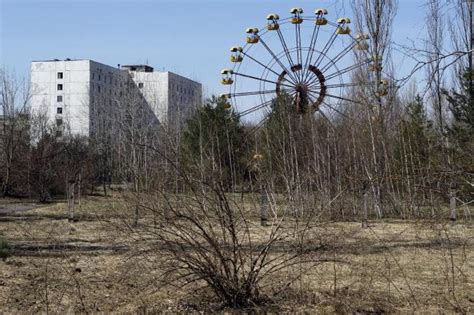 Wie wirkt strahlung auf den menschen? Biologie: Vögel passen sich der Tschernobyl-Strahlung an ...