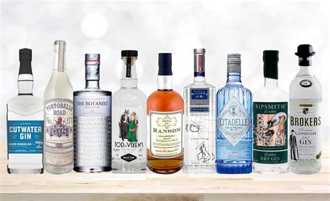 15 Of The Best Gins To Always Have On Hand