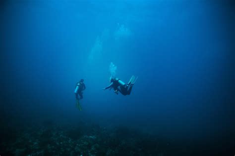About Deep Diving Including Concerns And Courses