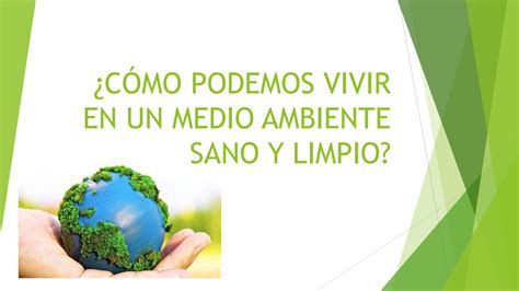 Cómo Podemos Vivir En Un Medio Ambiente Sano Y Limpio By Lu Zuliani Issuu