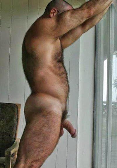 Naked Chubby Bear Penis Mega Porn Pics My Xxx Hot Girl