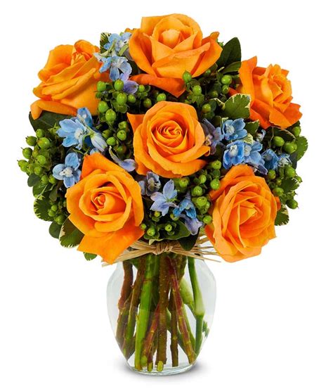 Beautiful light orange rose flower pictures and over 25,000 other garden and flower photos and wallpapers. Sunny Orange Rose Bouquet at From You Flowers