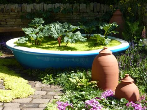 how to grow rhubarb in pots the garden of eaden
