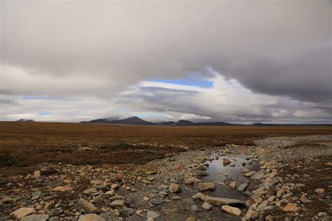 Tundra Landscape Wrangel Island Unesco World Heritage Site Flickr
