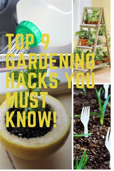 9 gardening hacks you must know if you want your garden to grow and