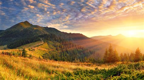 Green Trees With Green Covered Mountain Scenery Morning Sun Rays 4k Hd