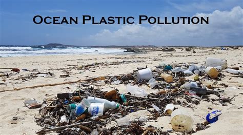 Ocean Plastic Pollution Snorkel Around The World