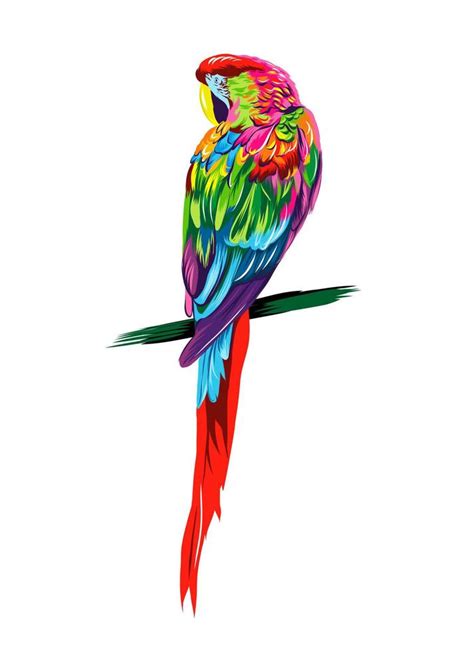 Parrot Macaw From Multicolored Paints Splash Of Watercolor Colored