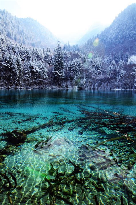 Satakentia Five Flower Lake Jiuzhaigou National Park