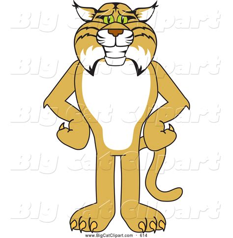 Big Cat Vector Clipart Of A Cute Bobcat Character Standing With His