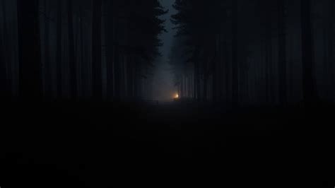 Wallpaper Forest Dark Fog Light Darkness
