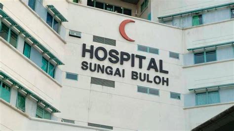 De wikipedia, la enciclopedia libre. Sungai Buloh Hospital's medical frontliners claim they ...