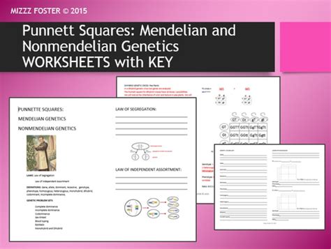 This series of worksheets keys in on the prediction of. Genetics: Punnett Squares, Mendel, Non-Mendelian Student ...