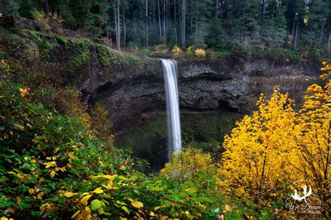2024 Guide South Falls Oregon Silver Falls State Park ⋆ We Dream Of