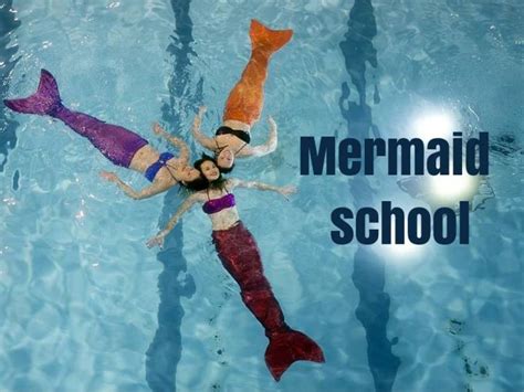 Ppt Mermaid School Powerpoint Presentation Free Download Id7127967