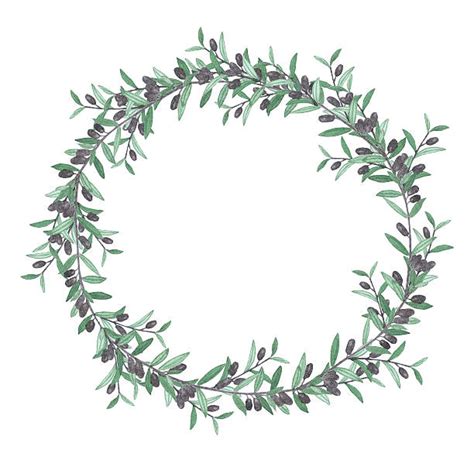 Best Olive Wreath Illustrations Royalty Free Vector Graphics And Clip