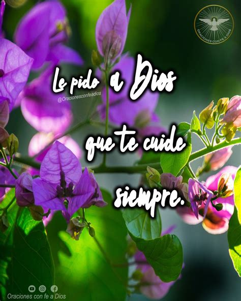 Le Pido A Dios Que Te Cuide Siempre 🙌 Frasedeldia Que Tengas Bonito