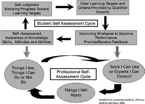 Student To Professional Self Assessment Cycle Download Scientific