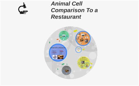 The nuclear membrane controls what comes in and out of the cell which is kind of like the security that gives you permission to go inside the restaurant! Animal Cell Comparison To a Restaurant by Iman Hamid