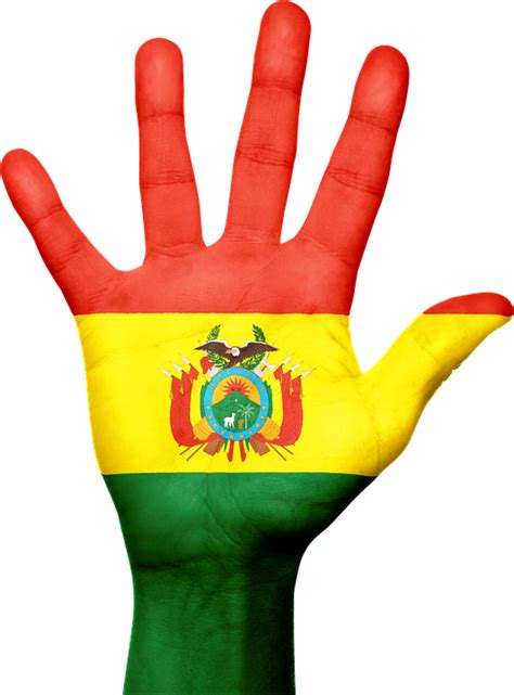 Bolivia Bandera Mano Imagen Gratis En Pixabay Pixabay