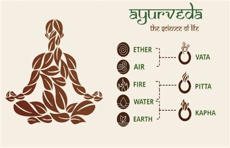 4 Important Ingredients In Ayurveda Healthandlife