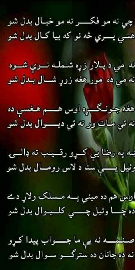 Poems By Syed Hameedullah On Pashto Poetry Pashto Shayari Poetry