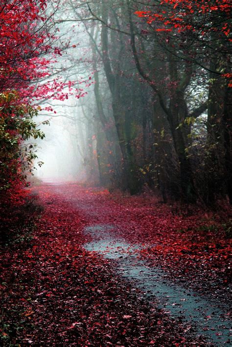 Inspiring And Dreamy Autumn Scenery Beautiful Nature Nature Photography