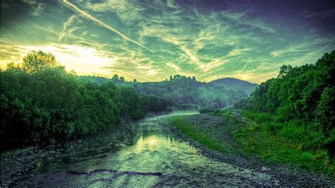 1080p Free Download Gorgeous Forest River In Green Hue River Green