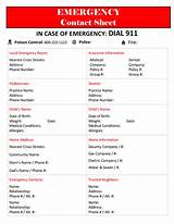 Travel Emergency Information Sheet Images