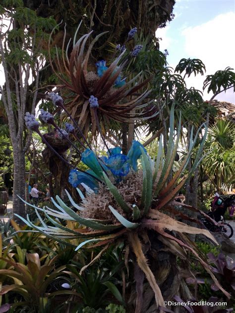 I'm obsessed with the level of detail and theming disney uses throughout all of their parks. Pandora - The World of Avatar in Disney World