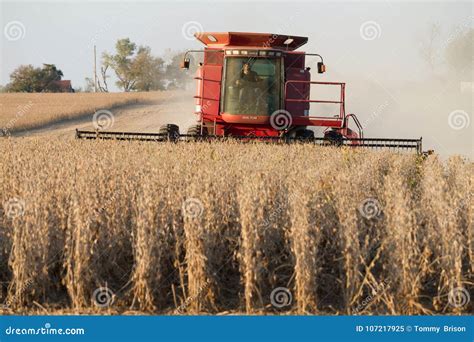 Harvesting Soybean In A Case Combine Harvester Editorial Image Image