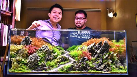 See what dennis wong (denniswongsj) has discovered on pinterest, the world's biggest collection of ideas. DENNIS WONG'S DIORAMA STYLE AQUASCAPE - YouTube