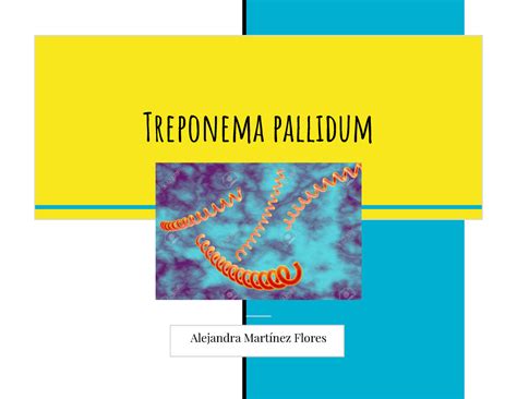 Treponema Pallidum Resumen Microbiologia Y Parasitologia Humana