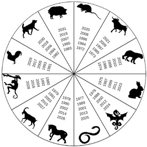 This enables the 12 basic animal signs to be interpreted. Your Chinese zodiac explained | INTO Study Blog