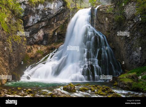 Golling Waterfall Golling Tennengau Salzburg Austria Stock Photo