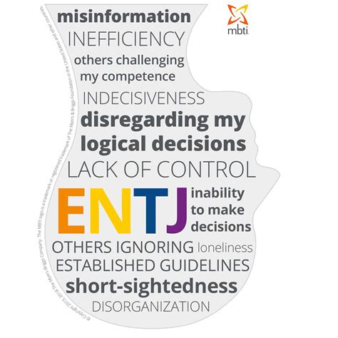 entj personality profile myers briggs mbti personality types