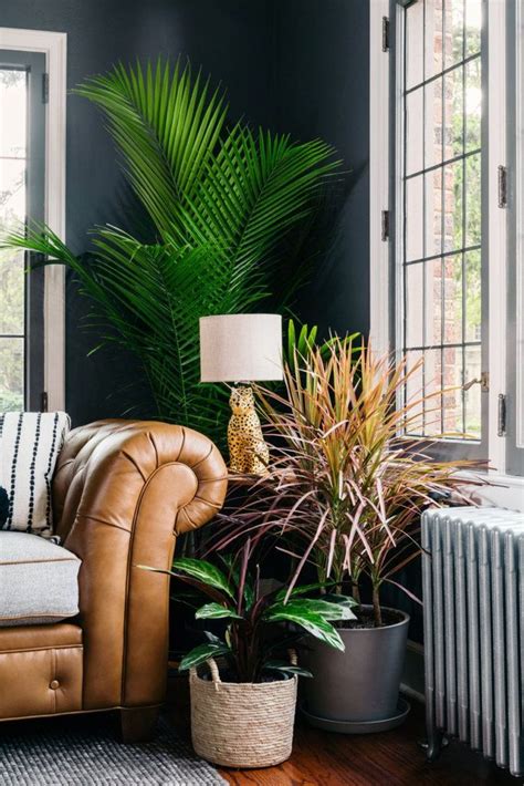 30 Living Room Indoor Plants Decoration Ideas